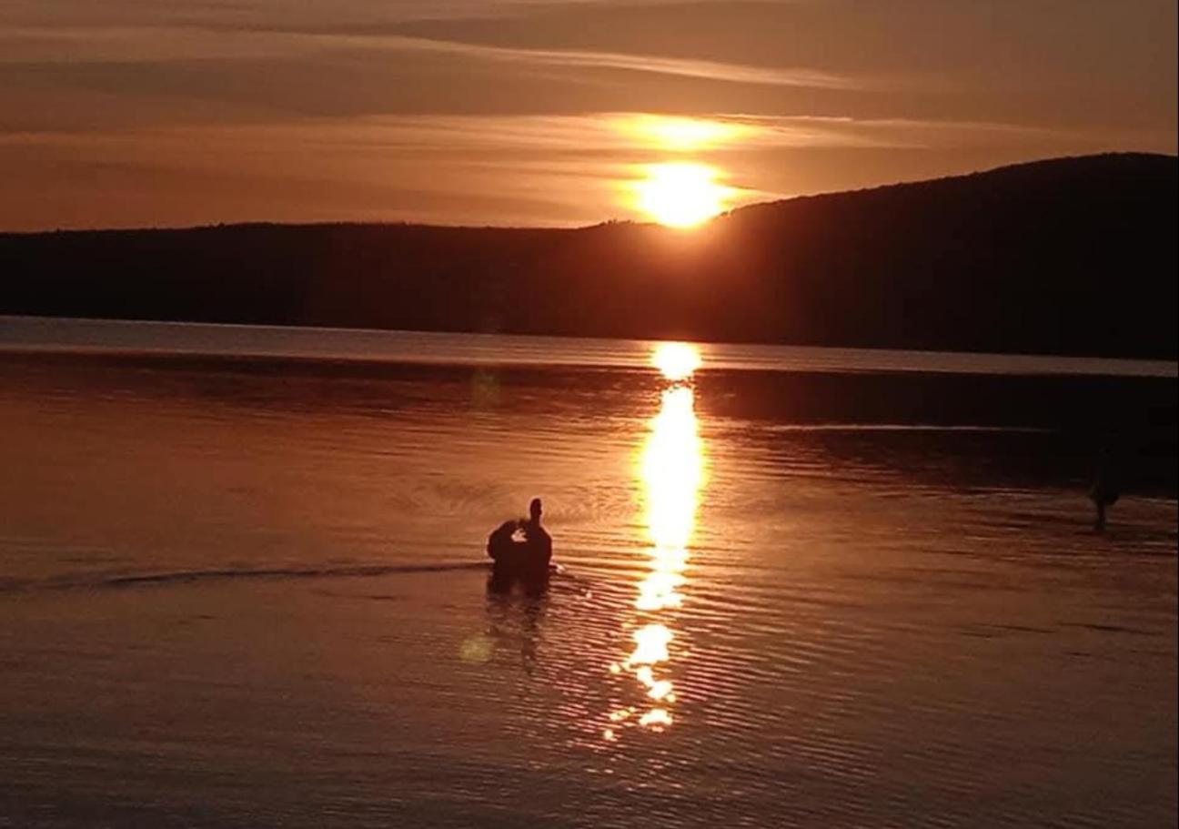 Dolce Lago ترفيجنانو رومانو المظهر الخارجي الصورة